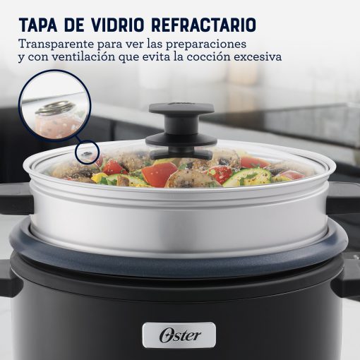 Arrocera 3 en 1 de 10 Tazas DiamondForce Oster CKSTRC10DFSKE 053 GRIS - Imagen 3
